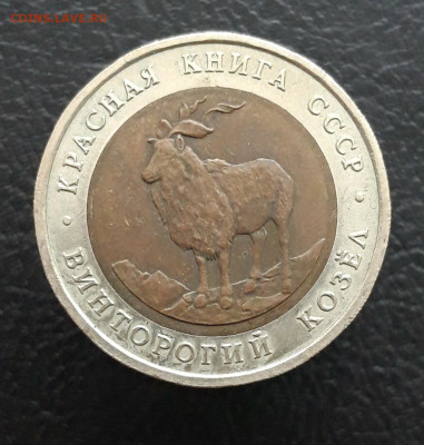 К.К. 5 рублей 1991 год. ВИНТОРОГИЙ КОЗЁЛ. До 10.01. - 20231202_213605.JPG