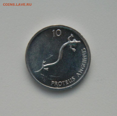 Словения 10 стотинов 1993 г. (Фауна) до 09.01.24 - DSCN9597.JPG
