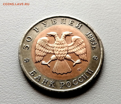 50 рублей 1993 года - Туркменский эублефар - IMG_20230709_103316_exposure