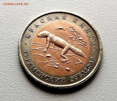 50 рублей 1993 года - Туркменский эублефар - IMG_20230709_103310_exposure
