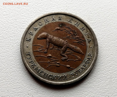 50 рублей 1993 года - Туркменский эублефар - IMG_20230709_093558_exposure
