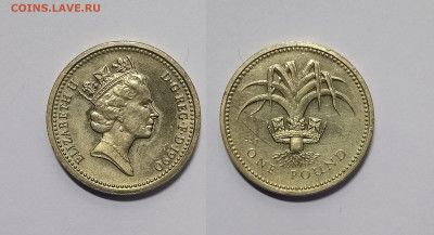 Великобритания 1 фунт 1990 года Лук Порей Уэльса - 7.01 - IMG_20240102_093524