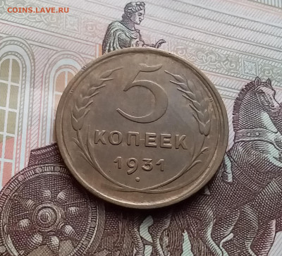 5 копеек 1931. До 10.01.24 в 22.00 - 20240105_130040