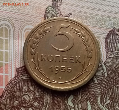 5 копеек 1955. До 10.04.24 в 22.00 - 20240105_132706