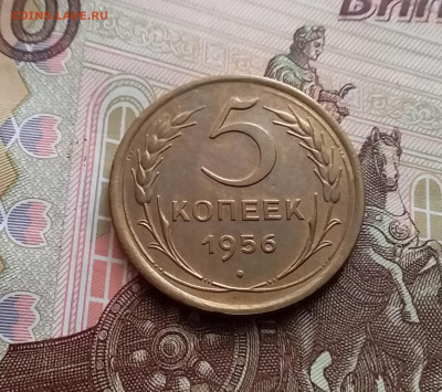 5 копеек 1956. До 10.01.24 в 22.00 - 20240105_132936