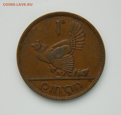 Ирландия 1 пенни 1949 г. (Фауна) Крупная! до 10.01.24 - DSCN9438.JPG