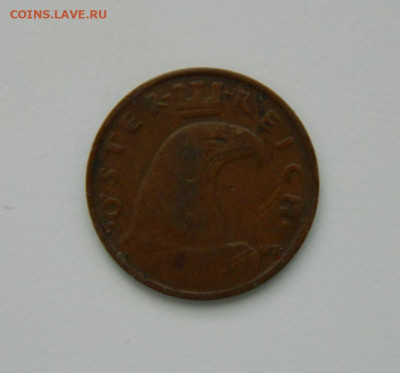 Австрия 1 грош 1927 г. (Фауна) до 10.01.24 - DSCN9480.JPG