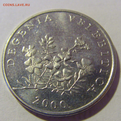 50 липа 2000 Хорватия №3 12.01.24 22:00 М - CIMG2119.JPG
