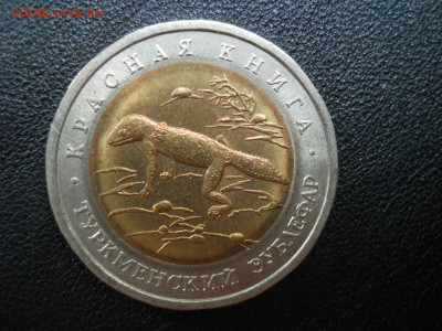 50 рублей 1993 года - Туркменский эублефар - DSCN3309.JPG