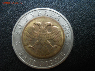 50 рублей 1993 года - Туркменский эублефар - DSCN3310.JPG