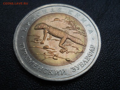 50 рублей 1993 года - Туркменский эублефар - DSCN3313.JPG