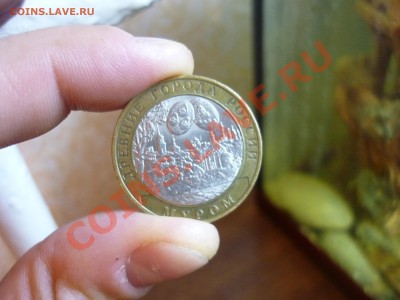Набор 10р Биметала по дворам  до  7.01.12  21:37 - P1080117.JPG