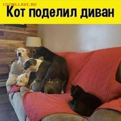 Юмор - 18701485