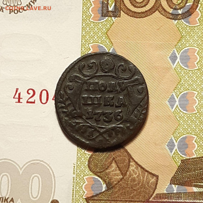 Полушка 1736 до 12.01.24 (пятница) 22.00 - photo_2024-01-07_18-28-08