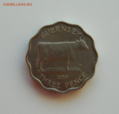 Гернси 3 пенса 1959 г. (Фауна)  до 11.01.24 - DSCN9951.JPG