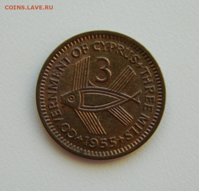 Британский Кипр 3 милс 1955 г. (Рыба) до 11.01.24 - DSCN0041.JPG