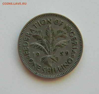 Британская Нигерия 1 шиллинг 1959 г. до 11.01.24 - DSCN9993.JPG