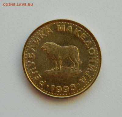 Македония 1 денар 1993 г. (Фауна) до 11.01.24 - DSCN9998.JPG