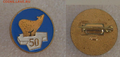 шт - SDC17000.JPG