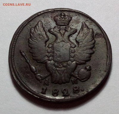 1 копейка 1828 км до 11.01.24 в 22.00 по Москве - 20240108_193418