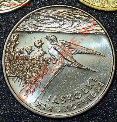 Польша 20000 злотых 1993 Ласточка до 13.01 12-00-00 МСК - л1.JPG