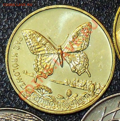 Польша 2 злотых 2001 Бабочка до 13.01 12-00-00 МСК - б1.JPG