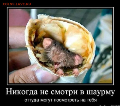Ассоциация слов. - Screenshot_2024-01-09-23-09-39-617