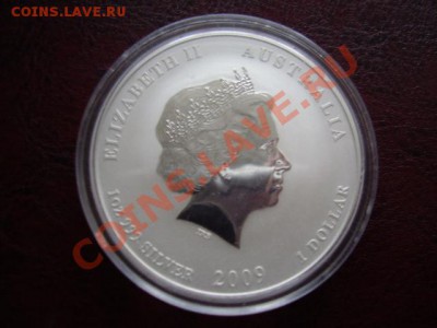 Серебренный доллар 2009 1 ДЕНЬ До 9 Января До 22:00 - P1050001.JPG