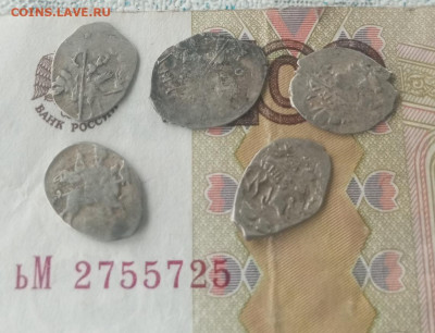 Распродажа комплекса, чешуйки 15 штук разные до17. 01.2024 - IMG_20240111_153758_477