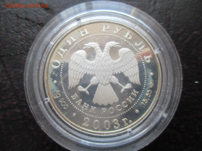 2р 2003 Черепаха - IMG_0059.JPG