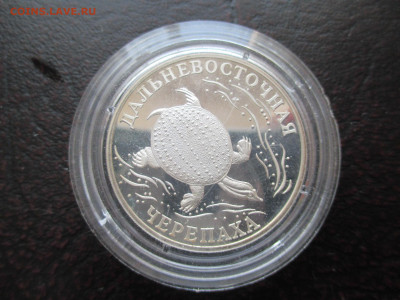 2р 2003 Черепаха - IMG_0057.JPG