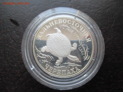 2р 2003 Черепаха - IMG_0056.JPG