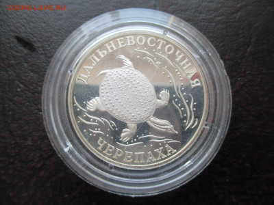 2р 2003 Черепаха - IMG_0058.JPG