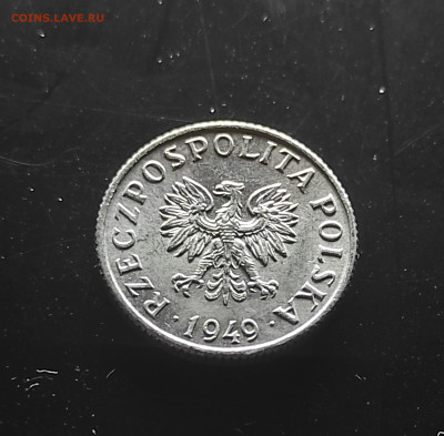 Польша 1 грош 1949 ( без обращения) до 16.01.2024 - IMG_20240111_035709
