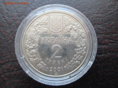 украина  2гр лиственница польская - IMG_0084.JPG
