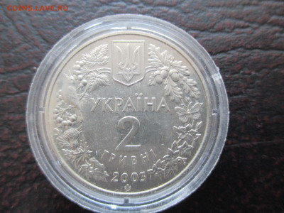 украина 2гр зубр - IMG_0101.JPG