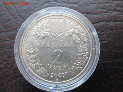 украина 2гр зубр - IMG_0100.JPG