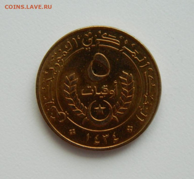 Мавритания 5 угий 2012 г. до 17.01.24 - DSCN0165.JPG