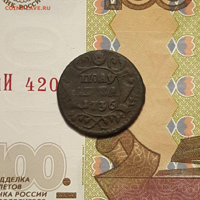 Полушка 1736 до 19.01.24 (пятница) 22.00 - photo_2024-01-13_04-15-32