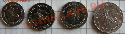Продам Мадагаскар - P1060837