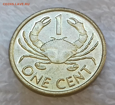 Сейшельские о-ва 1 цент 2004 до 18.01 22:00 - СЕЙШЕЛЬСКИЕ ОСТРОВА 1 цент 2004 20200225_124956