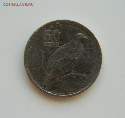 Самоа 50 сене 2011 г. (Фауна) до 17.01.24 - DSCN0222.JPG
