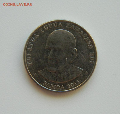 Самоа 50 сене 2011 г. (Фауна) до 17.01.24 - DSCN0223.JPG