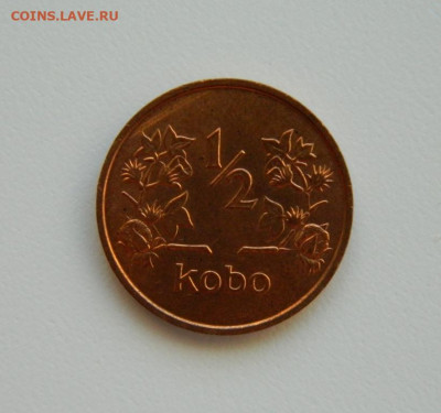 2 кобо 1973 г. до 17.01.24 - DSCN0245.JPG
