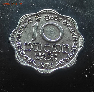 Шри ланка 10 центов 1978 до 19.01.2024 - IMG_20240114_084054