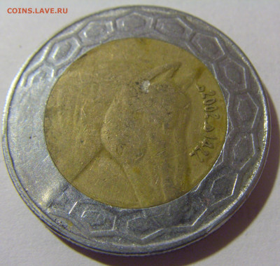 100 динар 2002 Алжир №1 20.01.2024 22:00 МСК - CIMG5017.JPG