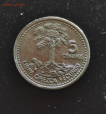 Гватемала 5 сентаво  2008 до 19.01.2024 - IMG_20240114_114533