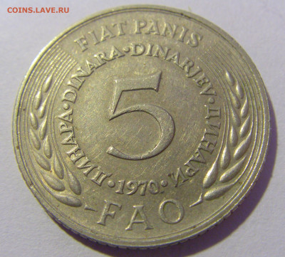 5 динар 1970 ФАО Югославия №1 20.01.24 22:00 М - CIMG5397.JPG