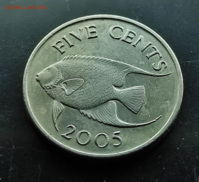Бермудские острова 5 центов 2005 до 19.01.2024 - IMG_20240114_122347