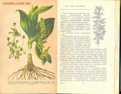 "Лекарственные растения Украины" 1974г. - лекарственные растения украины 2